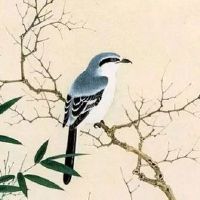 刚结婚晚上出门可以吗 天黑在外面于运势不利