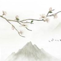 车牌号69寓意解释 "帝王数字"有财运的牌号