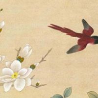 八字三合局是什么意思 三合局化解八字冲克