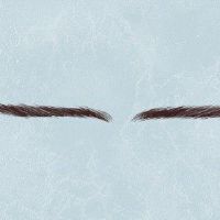 男人眉毛散淡好吗 整体运势稍有不稳