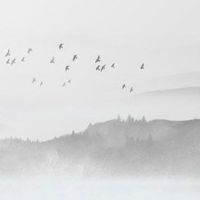 适合服装的商标名字 服装企业起高级的名字