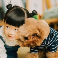 虎宝宝有山有树的名字 旺财的2022年出生的孩子起名