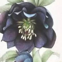 最新版好听的手工坊名字 新店吉利寓意好起名