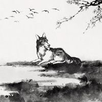 70年男狗在2022年事业如何 事业有成财源滚滚