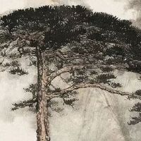 属猪与属猪婚姻合不合 男女双方皆属猪不利于财运发展