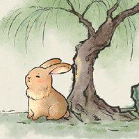 属兔1987年一生事业 中年发迹事业飞涨