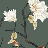 车牌号码两个5好不好 最吉利的车牌尾号推荐