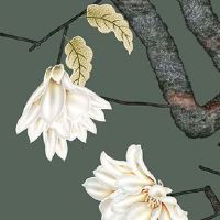 为什么5开头的车牌号不好 为什么5是不吉利的数字