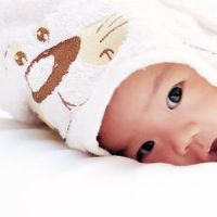 虎年生的孩子起名大全 虎年宝宝名字