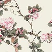 纹眉的讲究 什么眉型招财 什么眉形利事业