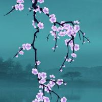 6开头的车牌号好不好 红火兴旺的车牌数字