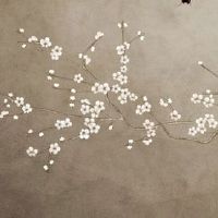 车牌号678的寓意 盘点旺运吉祥车牌数