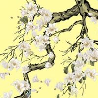 三朵正缘桃花男命 多情容易被诱惑