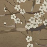 车牌号81尾号的号码好吗 三才五格搭配吉祥车牌