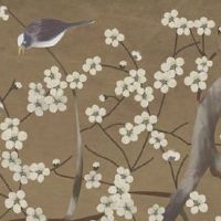 摩托车牌号选个好号 盘点荣华富贵车牌号码