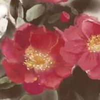 适合家具店的名字大全 旺店高级霸气名称