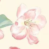 家具店取名大全最新 旺财吉利店铺取名