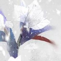 家具品牌名称大全 高端洋气店铺名字