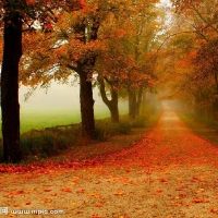 大驿土男和大溪水女婚姻匹配程度如何