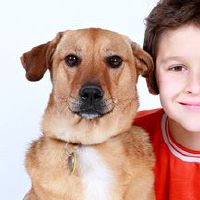 寓意博学多才才华横溢的男孩名字