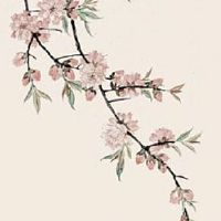 2023年1月4日出生男宝宝命好不好,五行是否有缺失