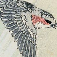 属虎与属牛的婚姻合吗 二人性格固执掘强