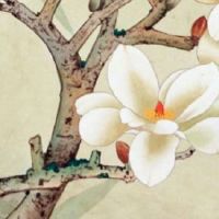 如果不是正缘能结婚吗 命中无正缘怎么办