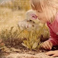 寓意睿智豁达的女孩名字