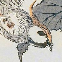 八字里有三合的女人好吗 有着姣好的外形