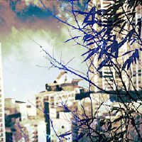 网红公司取名字大全 简单明了符合大众