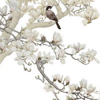 婚姻宫逢合是什么意思 日元相合两人八字相合