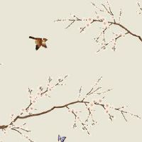 女属虎婚配哪个属相最好 虎猴一见两地分