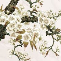 属龙人的最佳婚配属相 生肖龙几岁结婚最好