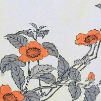 属龙的女的和什么属相最配 龙女与猴男在一起天衣无缝