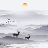 鹰钩鼻薄嘴唇的女人面相 心思缜密人缘好