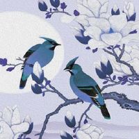 车牌号后面带个K字母怎么样 旺运车牌字母盘点