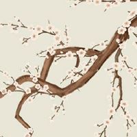 88年龙女2022有婚姻状况 婚姻稳定生活井然有序