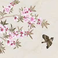 属虎的和属鼠的婚姻相配 婚后感情越来越好