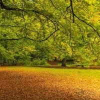 命里含金的八字在农历哪些日子出生