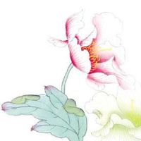 626这个车牌号怎么样 626车牌为什么不好