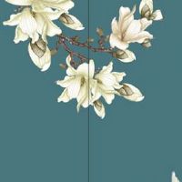 车牌006好还是066好 后者代表更多福气与运势