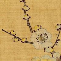 十年大运走三合局 八字里三合局和三会局哪个好