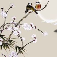 八字地支三合的人婚姻 什么八字容易离婚