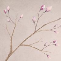 隐性正缘桃花是什么意思 女命正缘桃花的查法