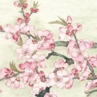 女人手心三角纹好吗 女人手掌心有三角纹是什么意思