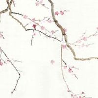 48车牌号凶还是吉 48车牌号最佳寓意