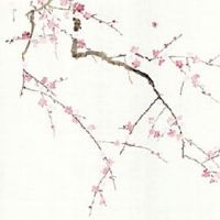 车牌号真的有凶和吉吗 不好的车牌号有哪些