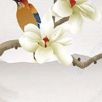 属虎女和属鼠男的合不合 对两人在一起的建议