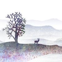 命里几个子女测算 手相八字齐助力