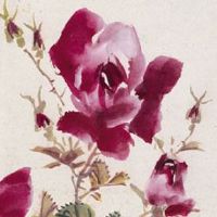 财运纹手掌 财运线图解女